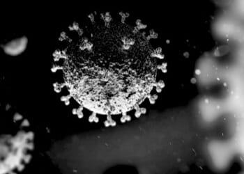 Will they ever stop lying about covid?