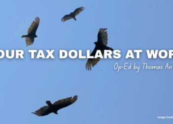 Your Tax Dollars At Work (Op-Ed By Thomas Antkow)