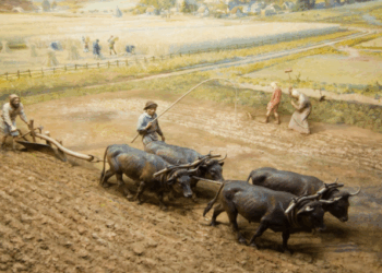 Cultivating the Soil ~ The Imaginative Conservative