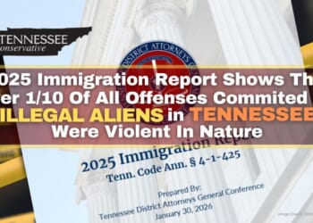 2025 Immigration Report Shows That Over 1/10 Of All Offenses Committed By Illegal Aliens In