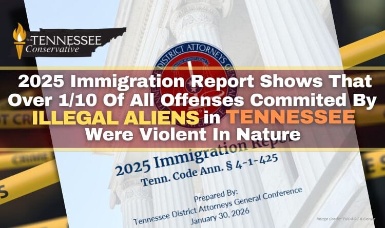 2025 Immigration Report Shows That Over 1/10 Of All Offenses Committed By Illegal Aliens In