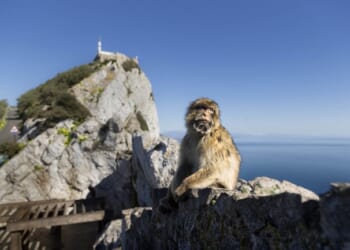 Starmer Sold Out Gibraltar, Too – HotAir