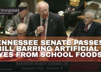 Tennessee Senate Passes Bill Barring Artificial Dyes From School Foods