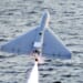 What Most People Have Missed About US Use of Low-Cost Drones in Iran – HotAir
