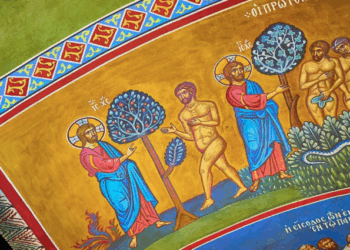 Good Tree ~ The Imaginative Conservative