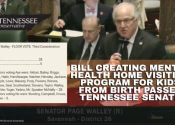 Bill Creating Mental Health Home Visiting Program For Kids From Birth Passes Tennessee Senate