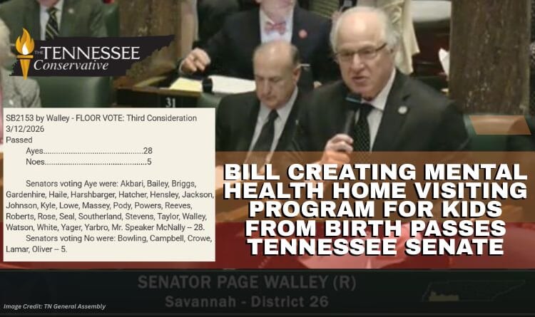 Bill Creating Mental Health Home Visiting Program For Kids From Birth Passes Tennessee Senate