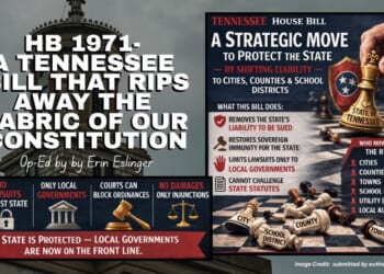 HB1971,  A Tennessee Bill That Rips Away The Fabric Of Our Constitution (Op-Ed By Erin Eslinger)