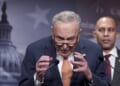 Have Dems Thrown in the Towel in Schumer Shutdown II: TSA Boogaloo? – HotAir