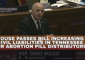 House Passes Bill Increasing Civil Liabilities In Tennessee For Abortion Pill Distributors