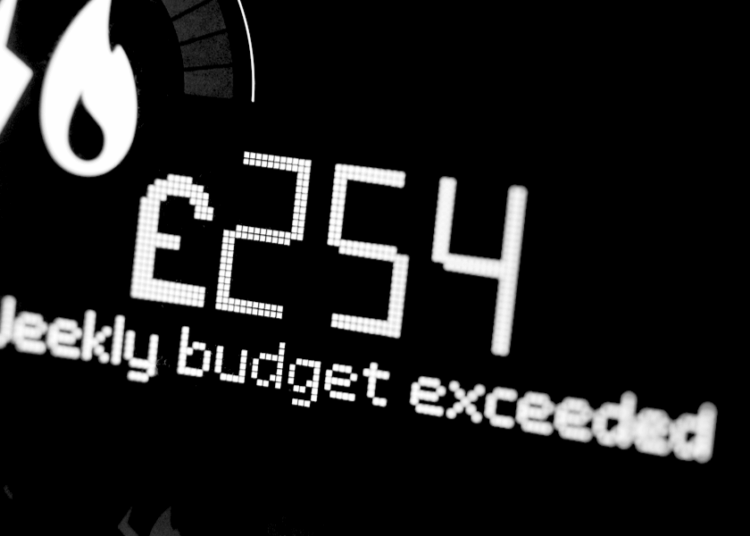 Lower gas bills? No, smart meters are about state surveillance and control