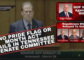 “No Pride Flag or Month Act” Fails in Tennessee Senate Committee