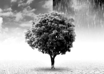 The Little Ice Age: The climate change event the doom-mongers ignore