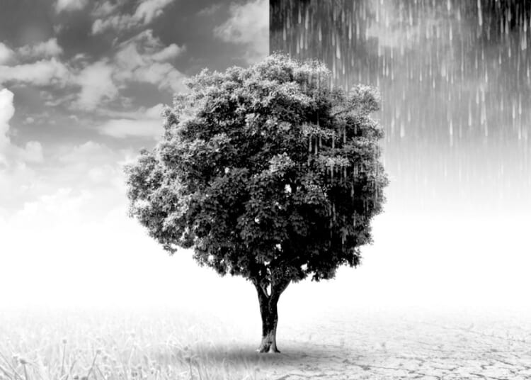 The Little Ice Age: The climate change event the doom-mongers ignore