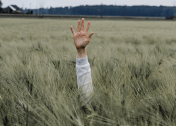 High Fives and the Final Judgment ~ The Imaginative Conservative