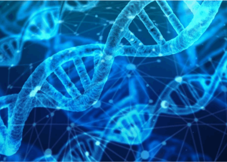 Poems of DNA ~ The Imaginative Conservative