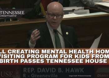 Bill Creating Mental Health Home Visiting Program For Kids From Birth Passes Tennessee House