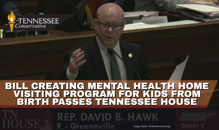 Bill Creating Mental Health Home Visiting Program For Kids From Birth Passes Tennessee House
