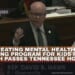 Bill Creating Mental Health Home Visiting Program For Kids From Birth Passes Tennessee House