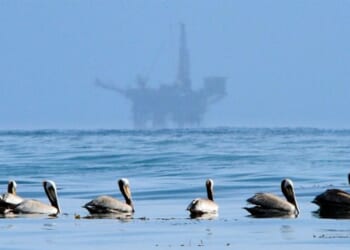 California Judge Overrules President Trump on Oil Production – HotAir