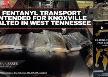 Fentanyl Transport Intended For Knoxville Halted In West Tennessee