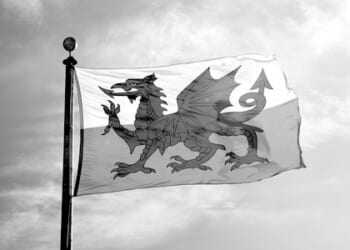 Has Reform blown its chance to rescue the Welsh disaster area?