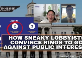 How Sneaky Lobbyists Convince RINOs to Go Against Public Interests