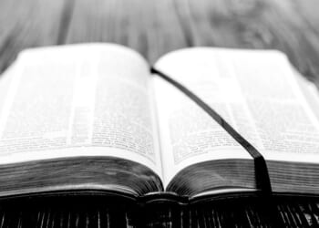 Open the gospels and let the resurrection penetrate your mind and heart