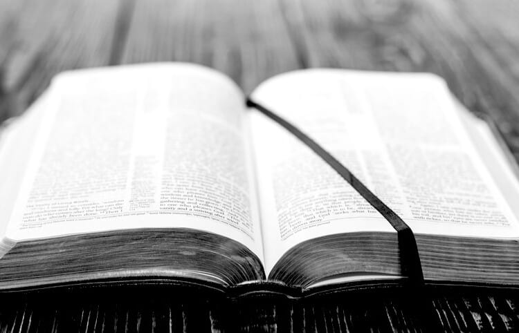 Open the gospels and let the resurrection penetrate your mind and heart