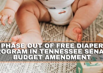 Phase Out Of Free Diaper Program In Tennessee Senate Budget Amendment