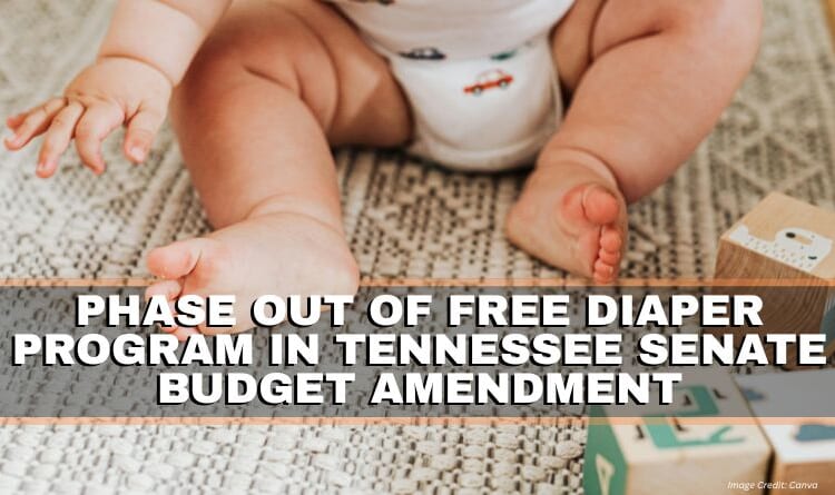 Phase Out Of Free Diaper Program In Tennessee Senate Budget Amendment