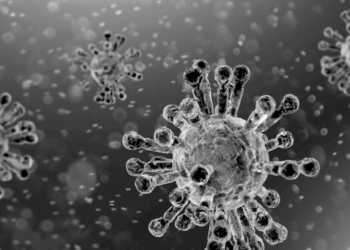 Sonia Elijah’s intriguing perspective on the covid conspiracy