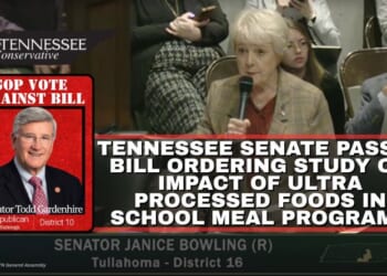 Tennessee Senate Passes Bill Ordering Study On Impact Of Ultra Processed Foods In School Meal Programs