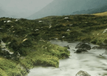 Reclaiming Christianity’s Master Narrative ~ The Imaginative Conservative