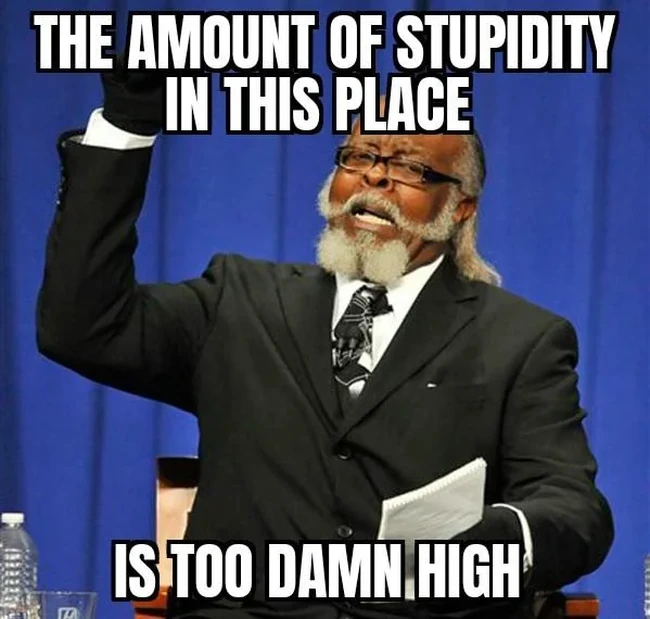 Stupidity