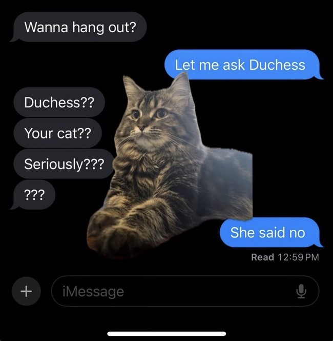 Duchess