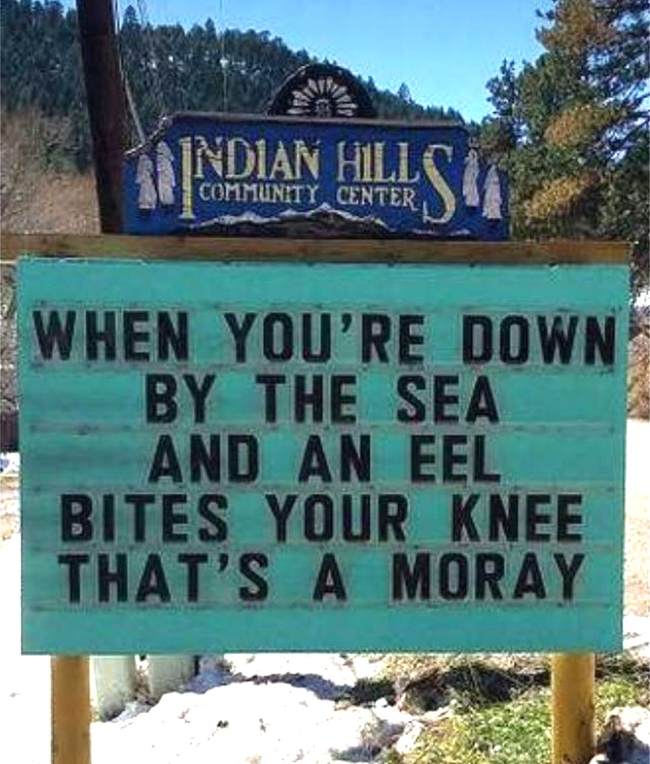 Moray