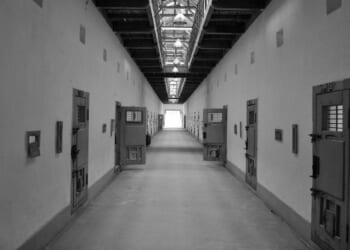 Jailing Lucy Connolly was not procedure, it was insanity