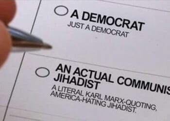 Michigan Democrats Alleging Voter Fraud in Their Own Endorsement Process – HotAir