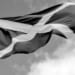 Scotland’s elections disguise the reality that the SNP is a spent force