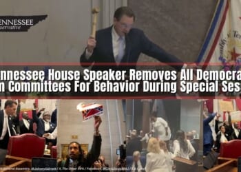 Tennessee House Speaker Removes All Democrats From Committees For Behavior During Special Session