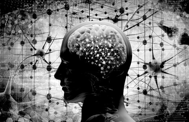 The genetic evolution of European genius