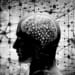 The genetic evolution of European genius