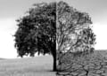 The illogicality of the climate change ‘experts’