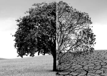 The illogicality of the climate change ‘experts’
