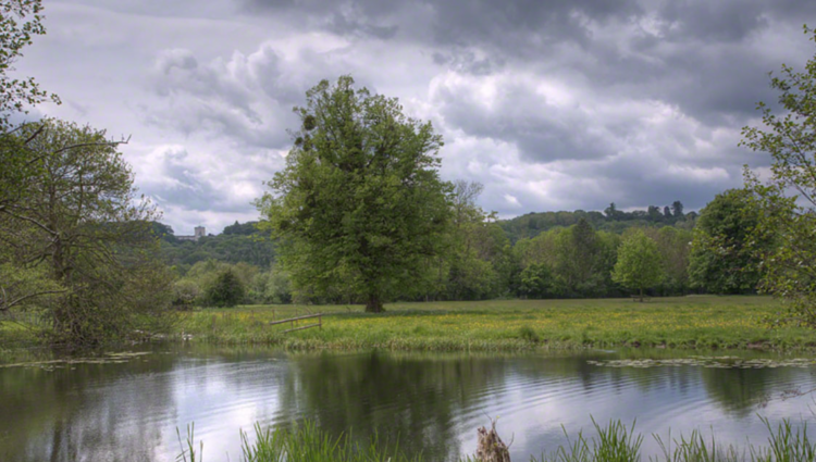 The Line from Runnymede to Philadelphia ~ The Imaginative Conservative