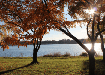 American History on the Banks of the Potomac