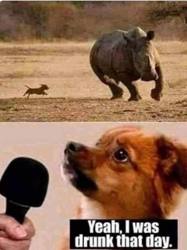 drunk