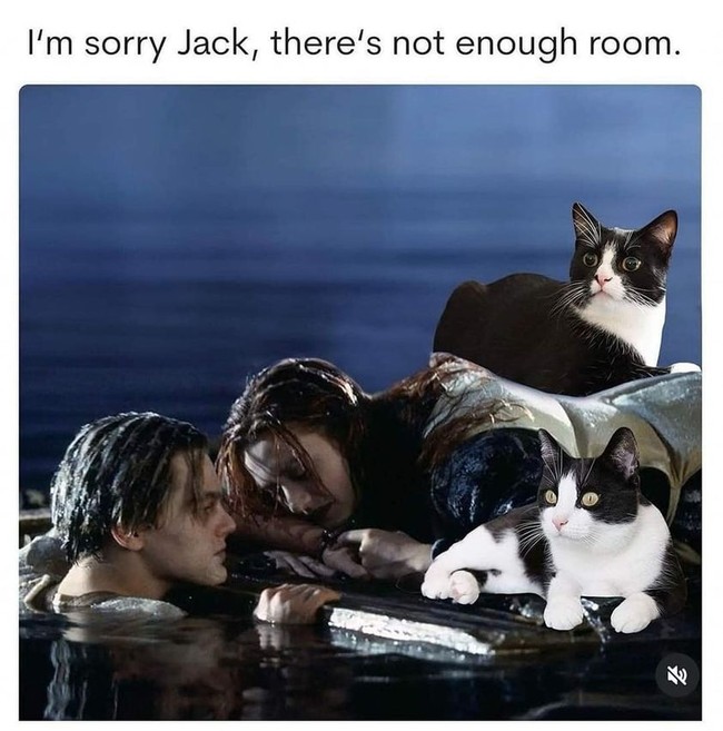jack
