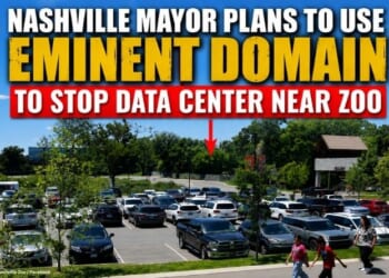 Nashville Mayor Plans To Use Eminent Domain To Stop Data Center Near Zoo